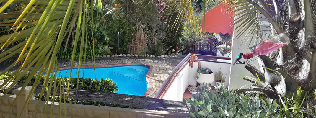 Sunbird View from Patio