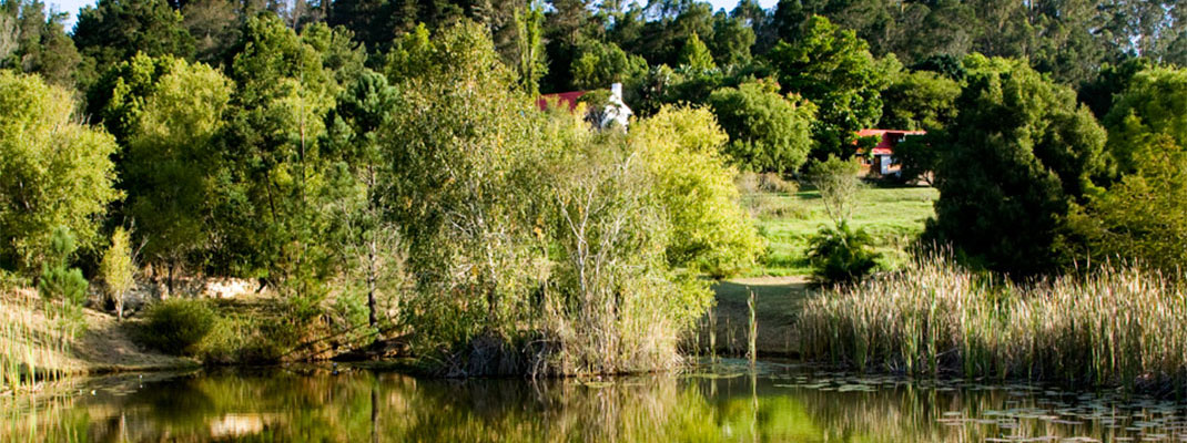 masescha View from the Dam